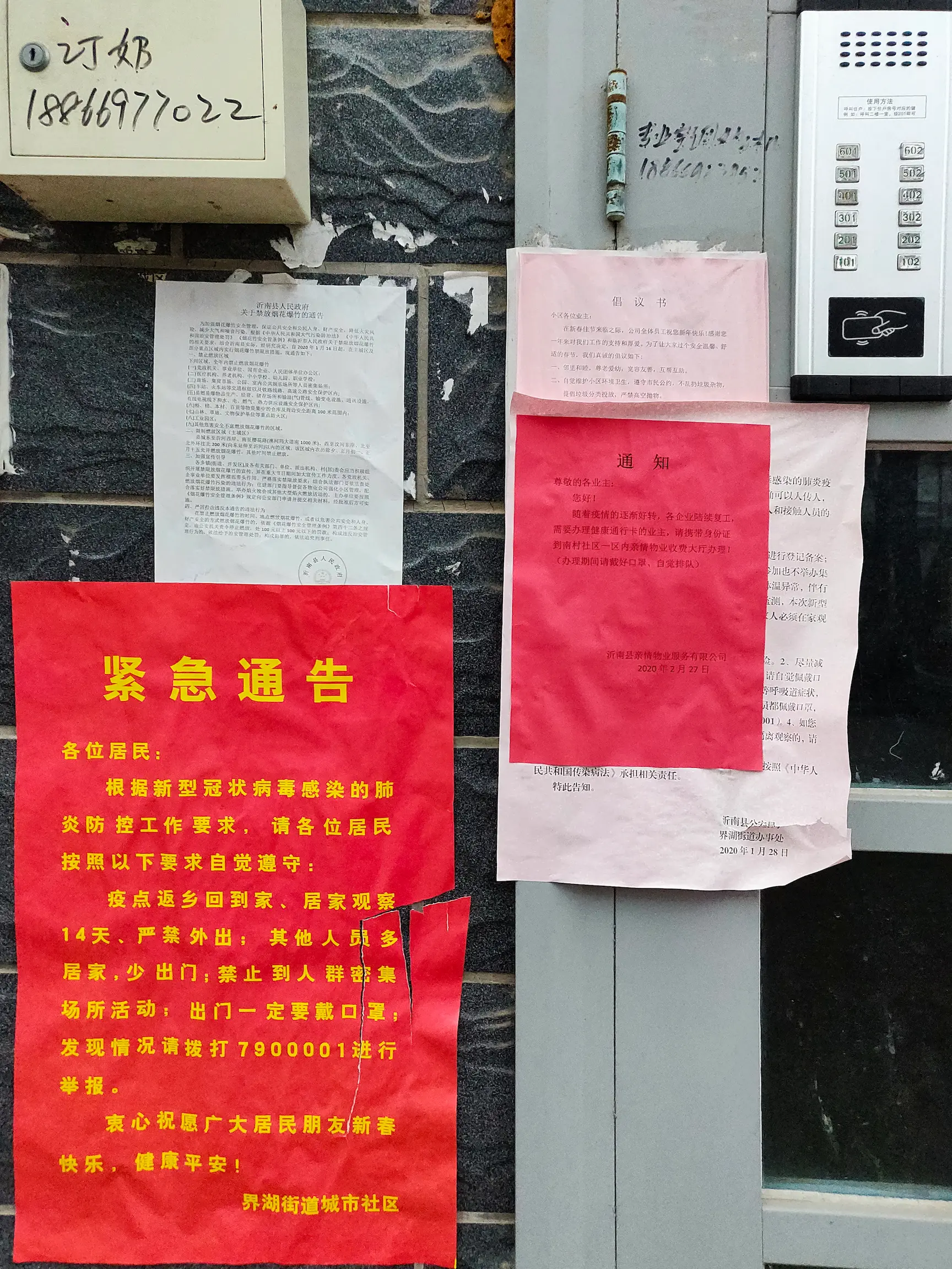 拍摄于 2020 年 2 月 29 日